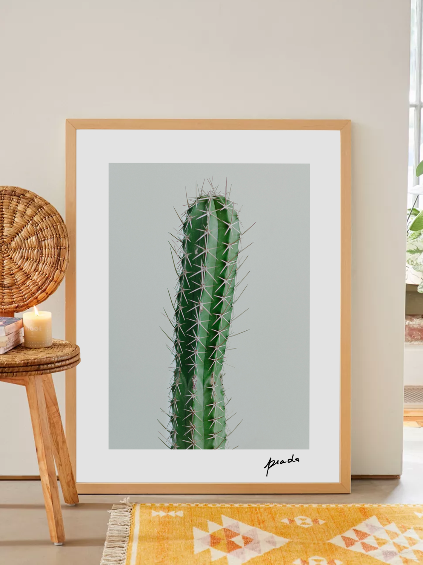 Cactus Silvestre - Arte Enmarcado
