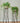 Set Jardinera x2 Sebastian Negra