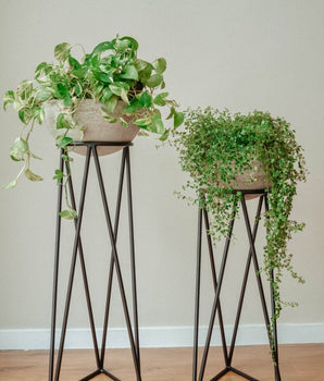 Set Jardinera x2 Sebastian Negra