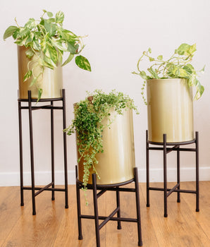 Set de Jardineras x3 Bambi
