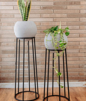 Jardinera Rocky Negra