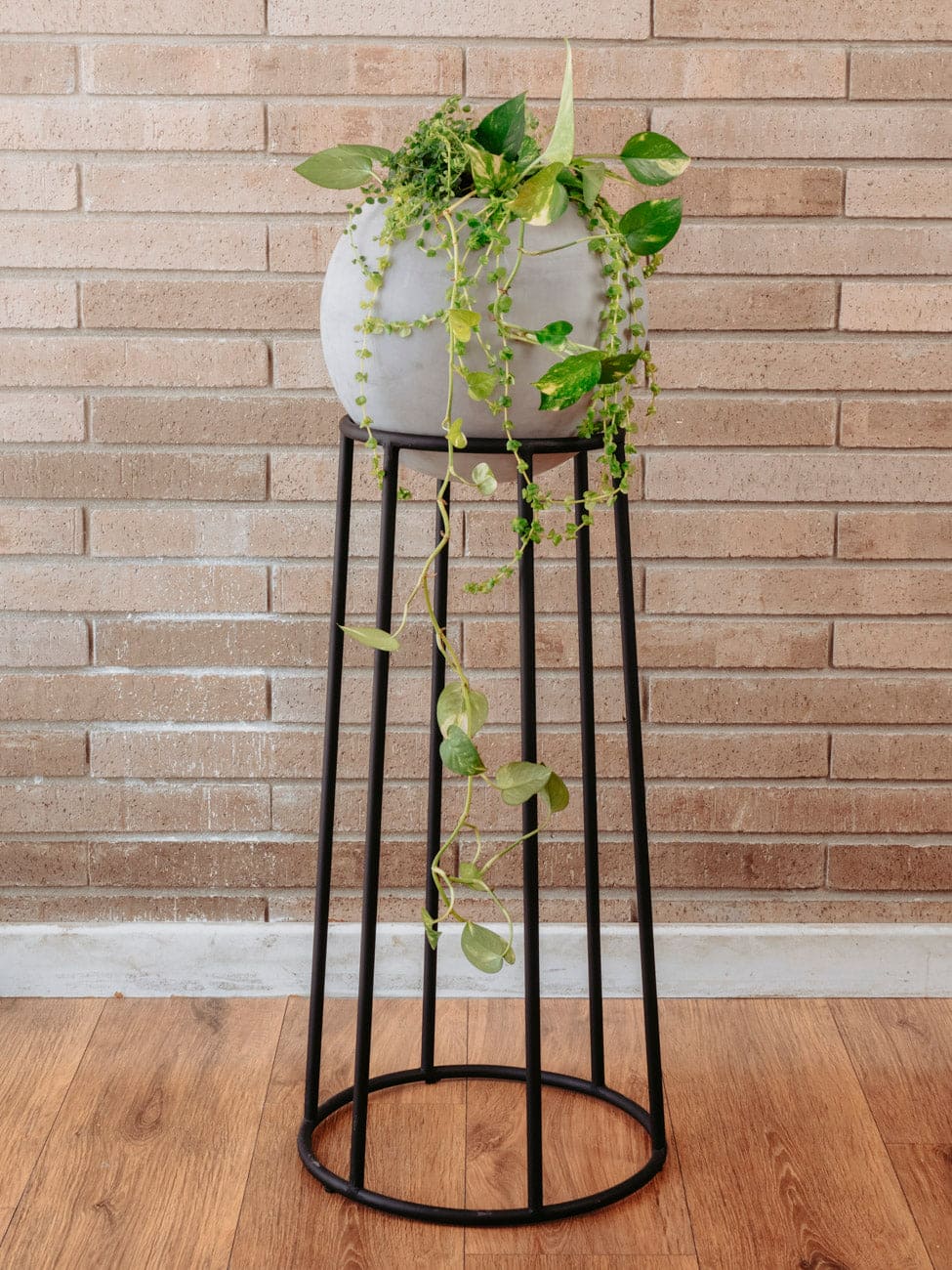 Jardinera Rocky Negra