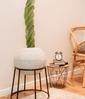 Jardinera Maxi Rocky Negra