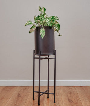 Jardinera Bambi Negra