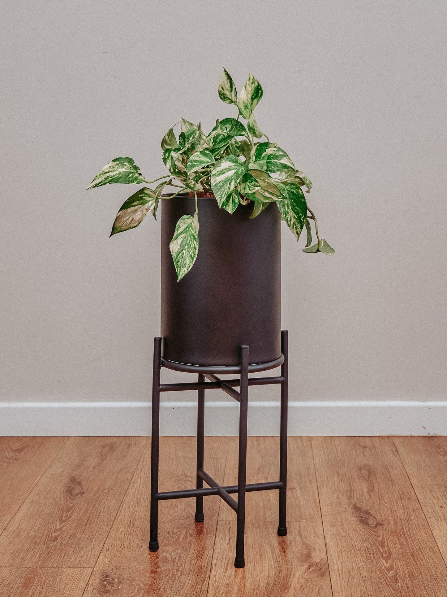 Jardinera Bambi Negra