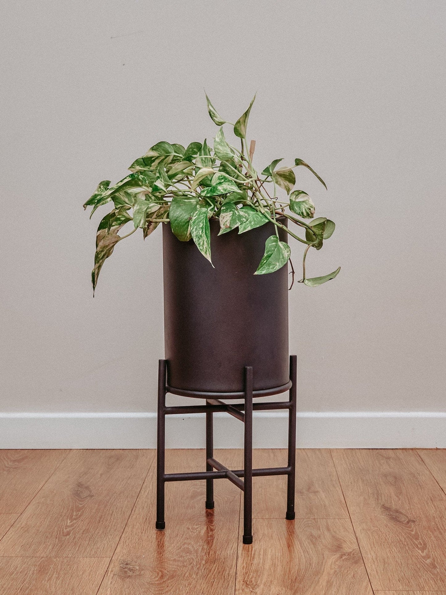 Jardinera Bambi Negra