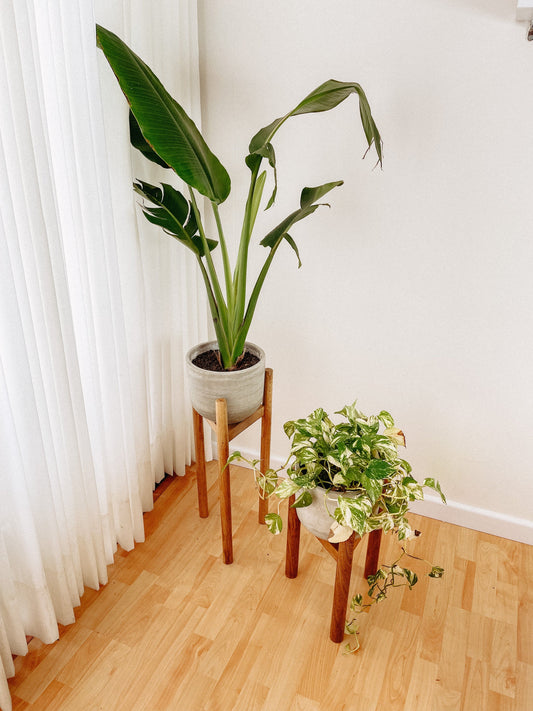 Set Jardineras x2 Donald